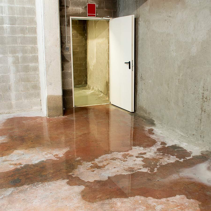 Water Damage Restoration Calgary